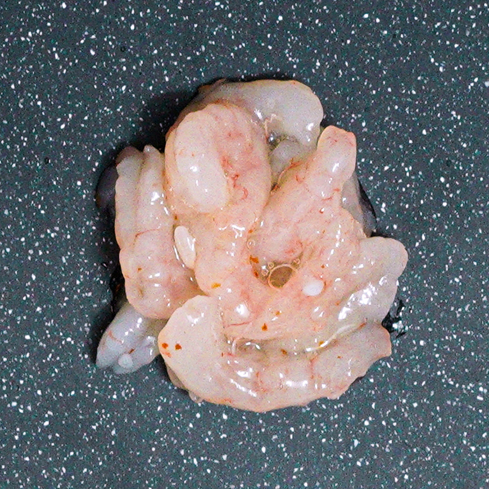 甘海老の塩辛(Salted sweet shrimp)